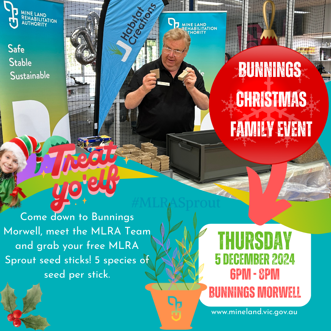 Christmas Family Event – Morwell Bunnings